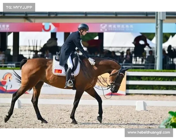 2024全国马术精英锦标赛盛大开幕汇聚顶尖骑手角逐荣耀时刻