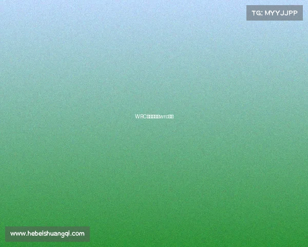 WRC赛事历程—wrc赛段