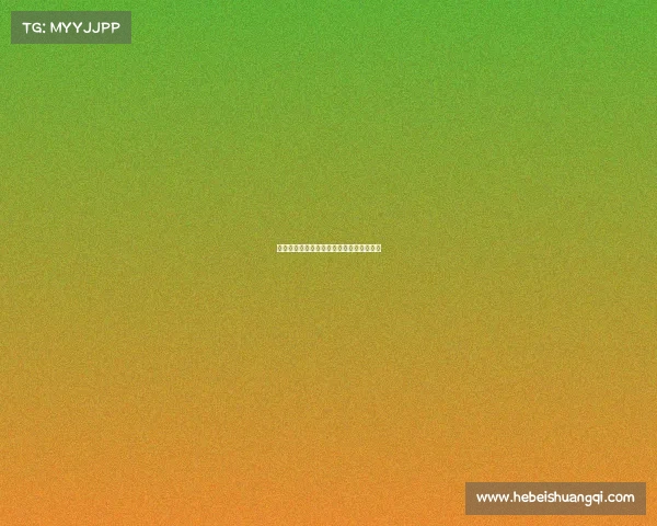 青春赛场新星闪耀，拼搏汗水铸就梦想华章